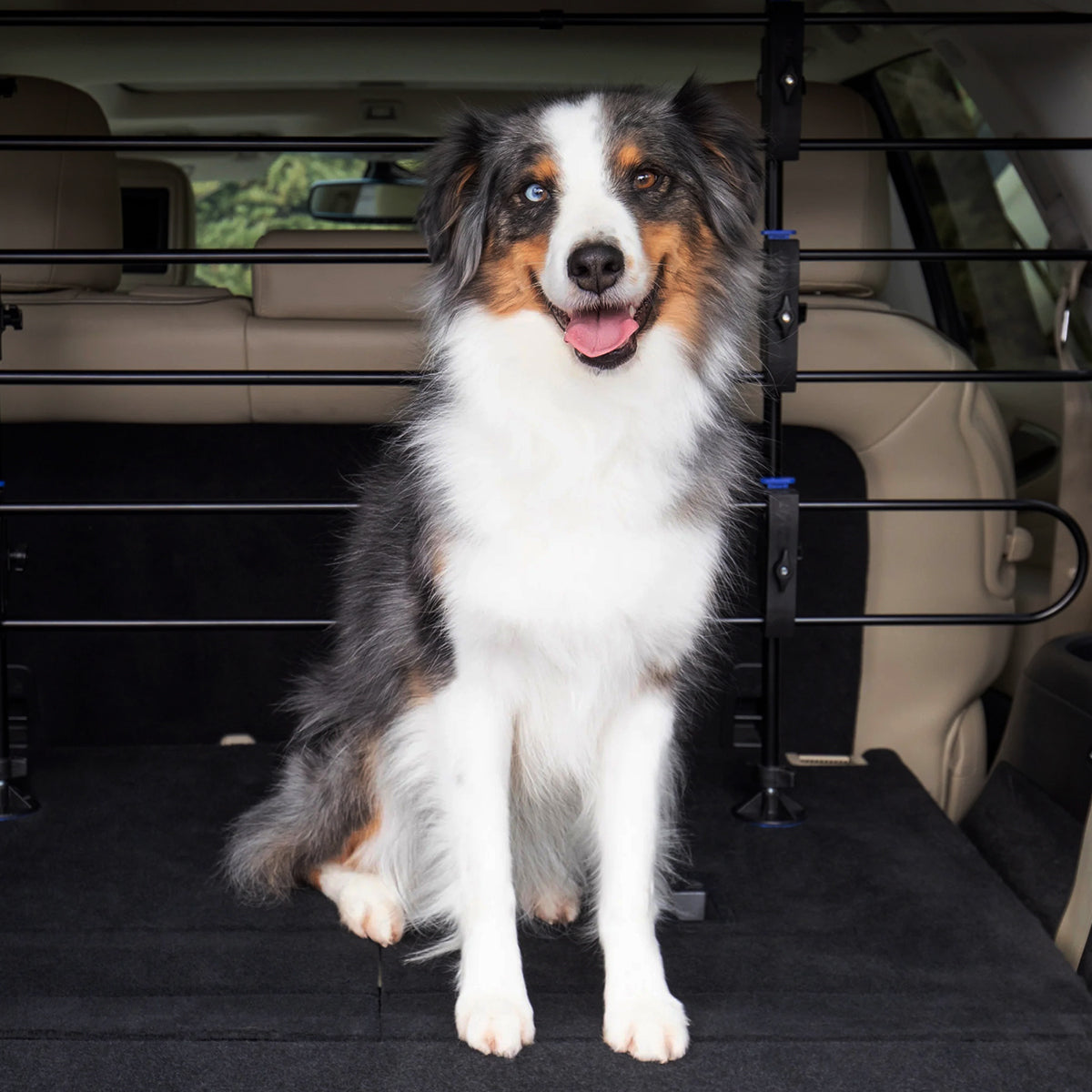Metal Dog Evihcle Pet Barrier with Double Doors & Feeding Door