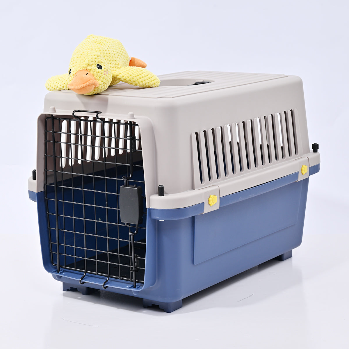 20" Hard-Sided Pet Travel Kennel for Cats & Small Dogs