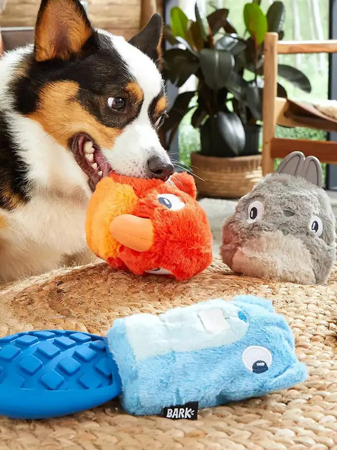 Pet Toys