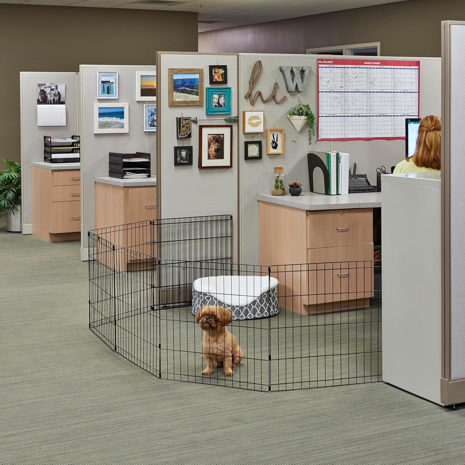 Freepet Folding Metal Puppy / Dog Exercise Pen, Indoor/Outdoor Playpen with  Door
